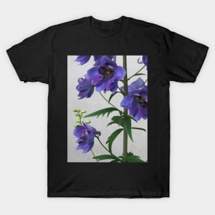 Larkspur T-Shirt